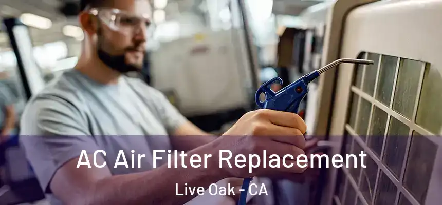  AC Air Filter Replacement Live Oak - CA