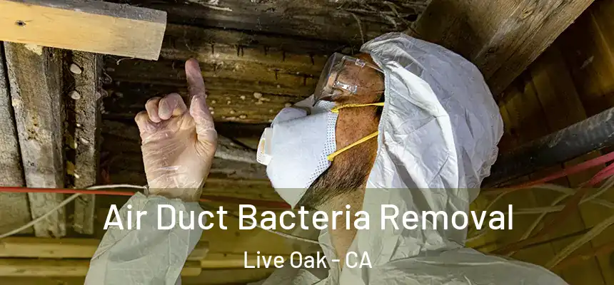 Air Duct Bacteria Removal Live Oak - CA