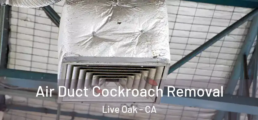 Air Duct Cockroach Removal Live Oak - CA