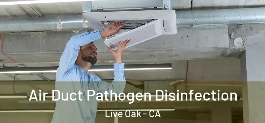 Air Duct Pathogen Disinfection Live Oak - CA