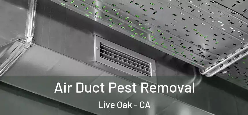 Air Duct Pest Removal Live Oak - CA