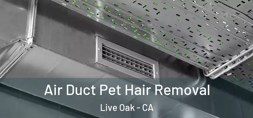  Air Duct Pet Hair Removal Live Oak - CA