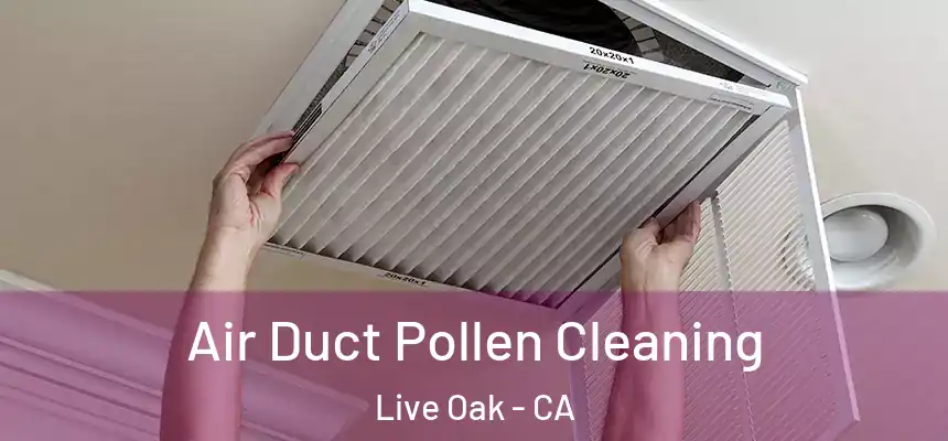 Air Duct Pollen Cleaning Live Oak - CA