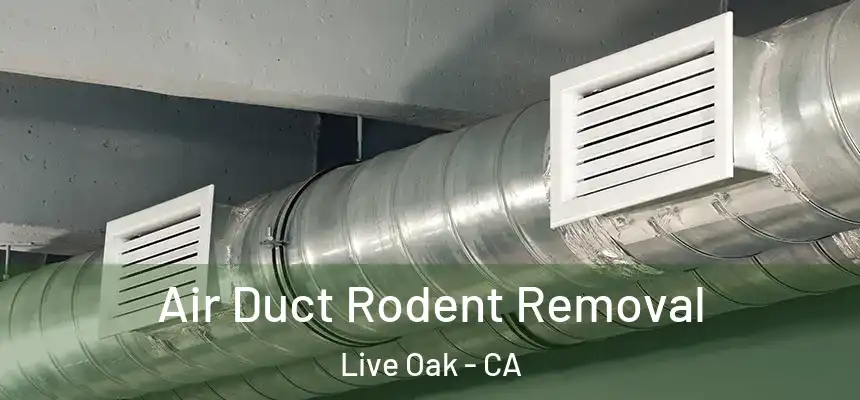 Air Duct Rodent Removal Live Oak - CA