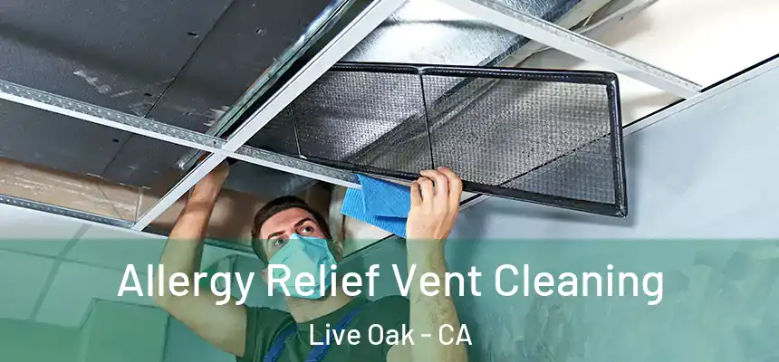Allergy Relief Vent Cleaning Live Oak - CA