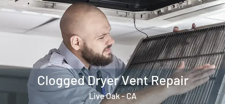 Clogged Dryer Vent Repair Live Oak - CA