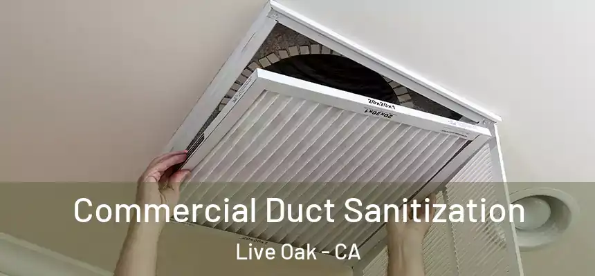 Commercial Duct Sanitization Live Oak - CA