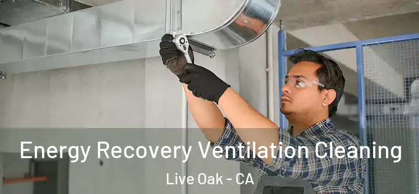 Energy Recovery Ventilation Cleaning Live Oak - CA