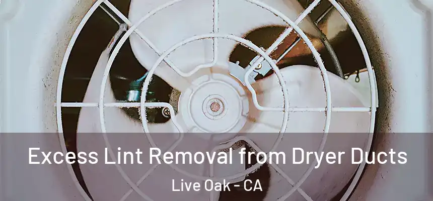  Excess Lint Removal from Dryer Ducts Live Oak - CA