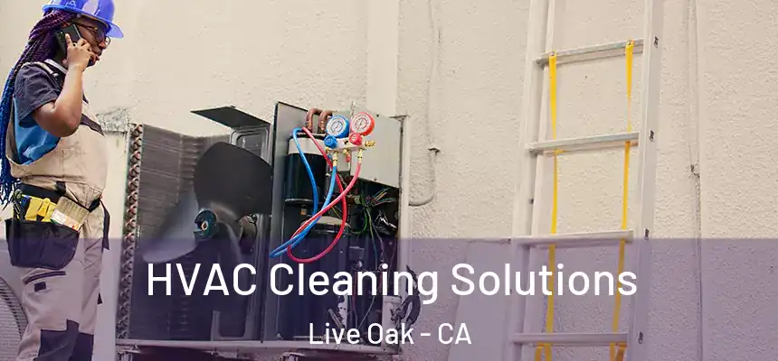  HVAC Cleaning Solutions Live Oak - CA