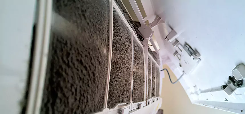 Preventive Air Duct Bacteria Removal in Live Oak