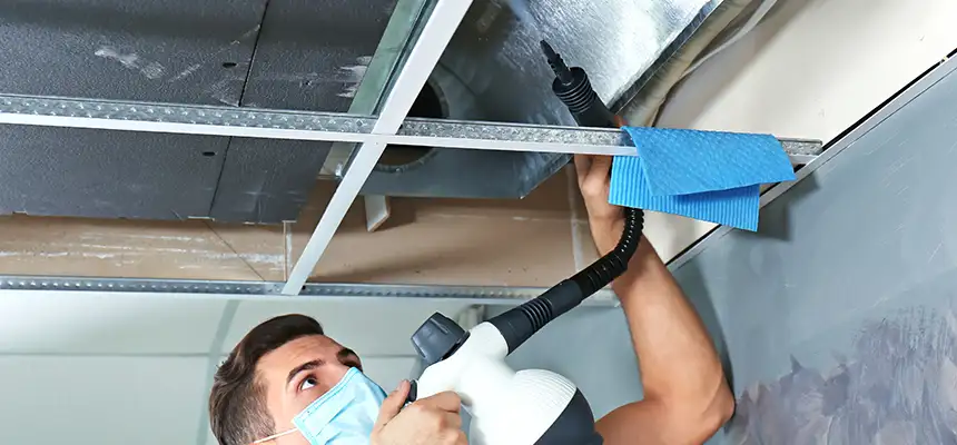 Our Air Duct Rodent Removal Services in Live Oak, CA