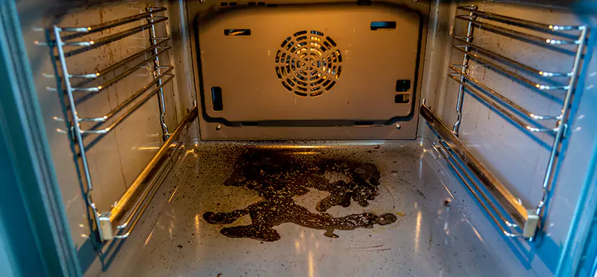 Our Dryer Vent Mold Cleaning Services in Live Oak, CA