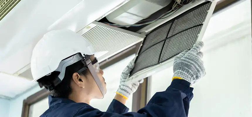 Our Lint Trap Cleaning Service Services in Live Oak, CA