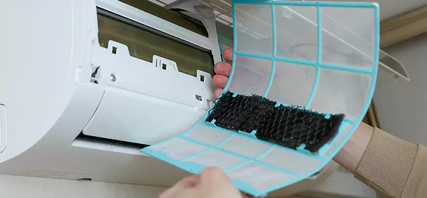 Gentle Ductwork Odor-Control Pet Dander Duct Cleaning in Live Oak, CA