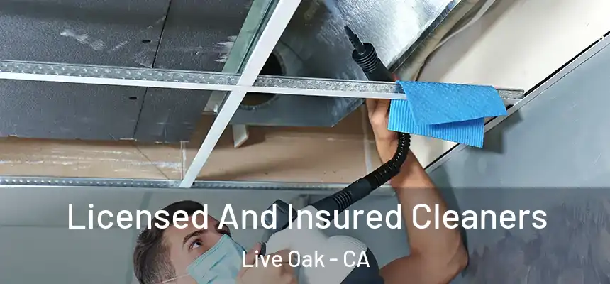 Licensed And Insured Cleaners Live Oak - CA