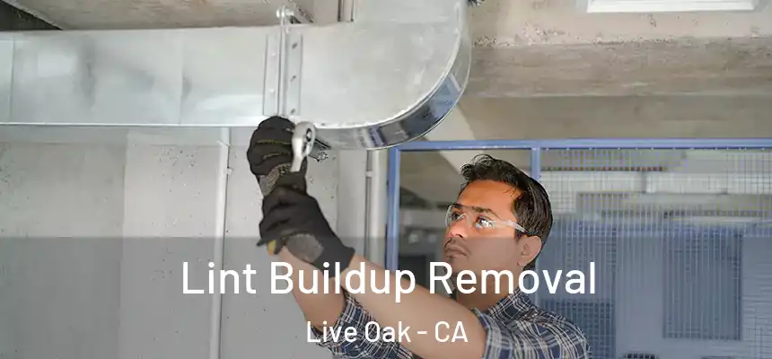Lint Buildup Removal Live Oak - CA