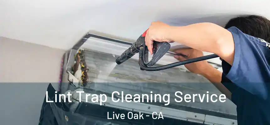 Lint Trap Cleaning Service Live Oak - CA