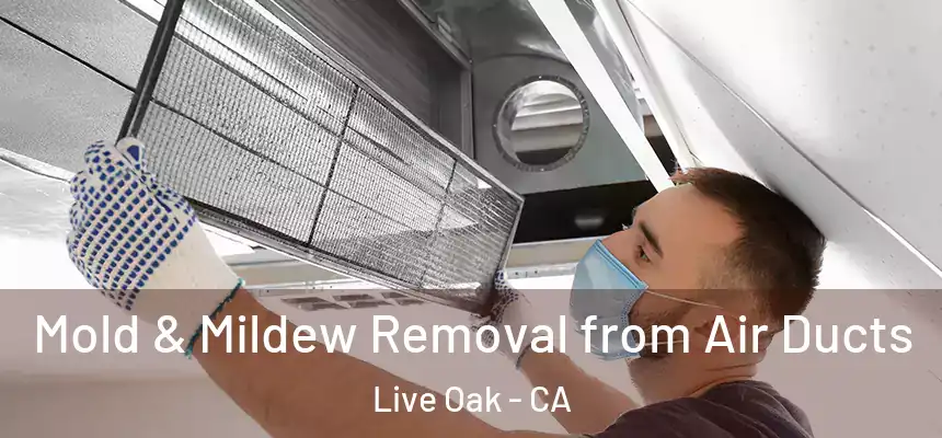 Mold & Mildew Removal from Air Ducts Live Oak - CA