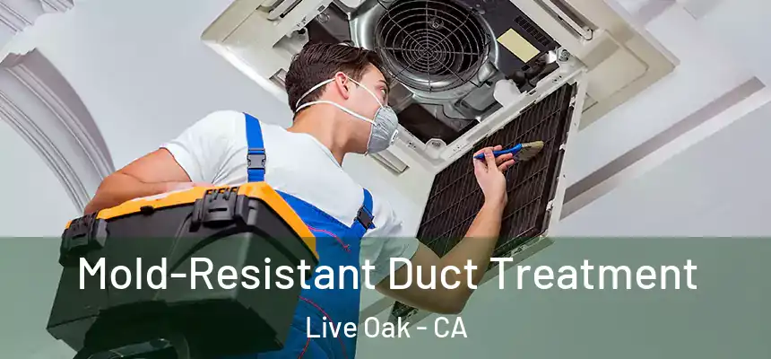 Mold-Resistant Duct Treatment Live Oak - CA