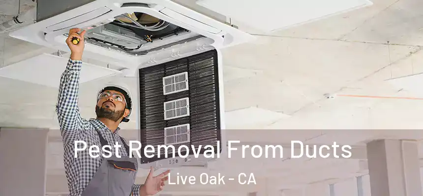 Pest Removal From Ducts Live Oak - CA