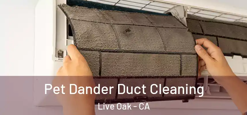 Pet Dander Duct Cleaning Live Oak - CA