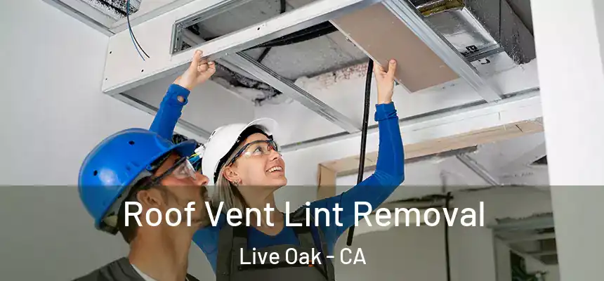  Roof Vent Lint Removal Live Oak - CA