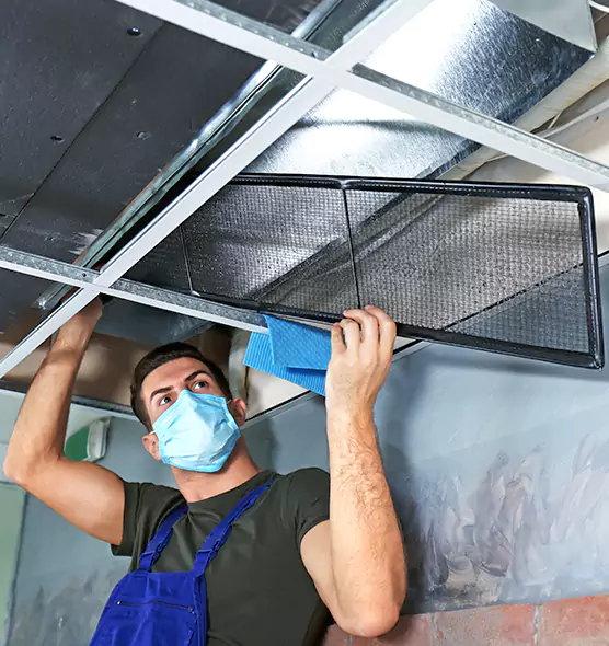 About Air Duct Bacteria Removal in Live Oak