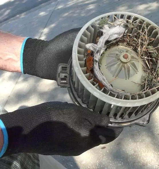 About Air Duct Rat Removal in Live Oak, CA