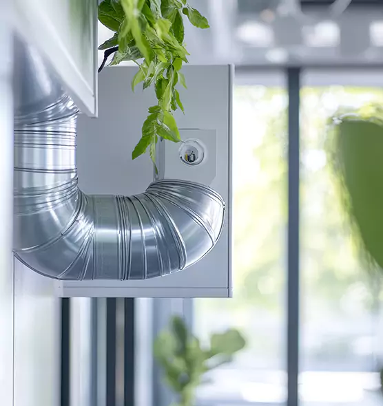 Professional Eco-Safe Dryer Vent Cleaning in Live Oak, CA