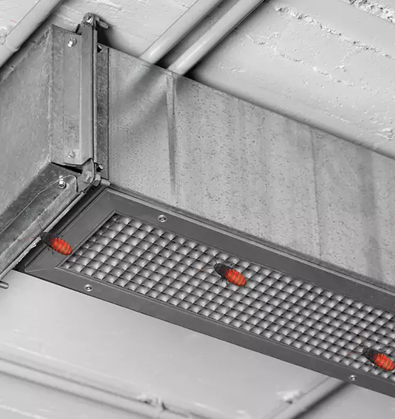 Affordable Insect Removal from Air Ducts in Live Oak, CA