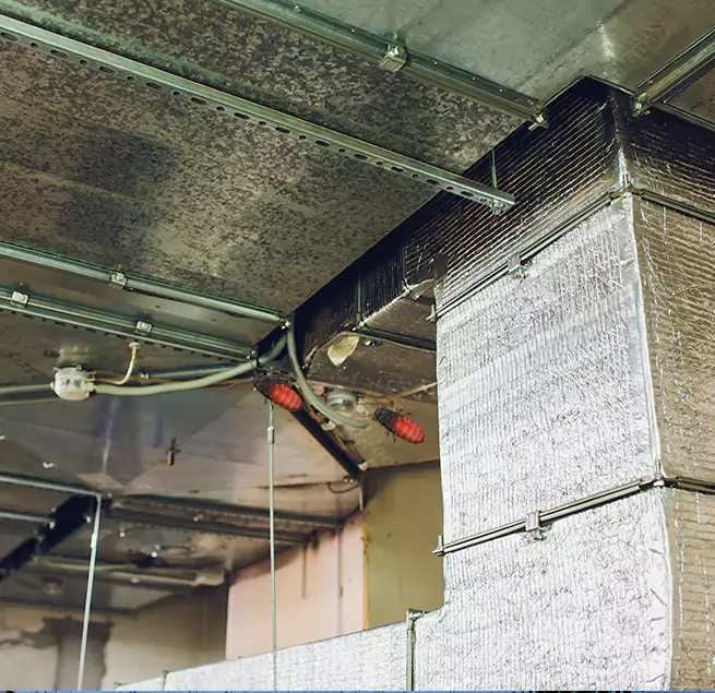 Why Homeowners & Businesses Trust Us in Live Oak, CA?