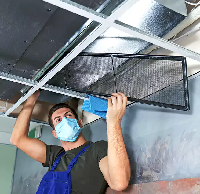 Why Homeowners Businesses Trust Us in Live Oak, CA