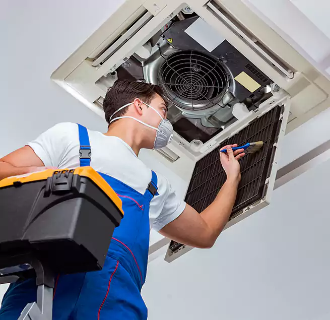 Why Homeowners & Businesses Trust Us in Live Oak, CA