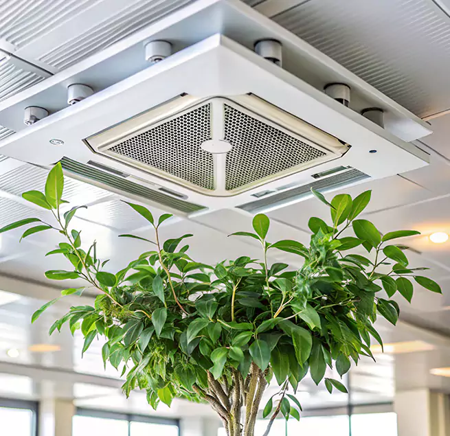 Why Homeowners & Businesses Trust Us in Live Oak, CA?