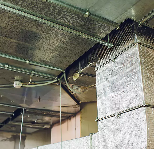 Why Homeowners & Businesses Trust Us in Live Oak, CA?