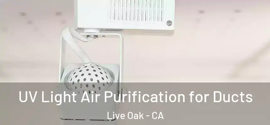 UV Light Air Purification for Ducts Live Oak - CA