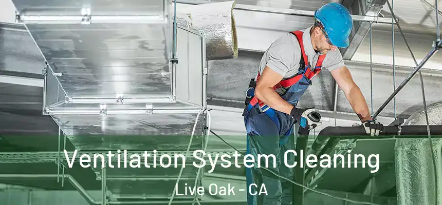 Ventilation System Cleaning Live Oak - CA